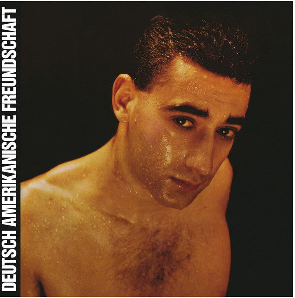Deutsch Amerikanische Freundschaft : Alles Ist Gut (LP, Album, RE)