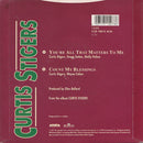 Curtis Stigers : You're All That Matters To Me  (7", Single, Sil)