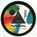 Smoove & Turrell* : You're Gone (7", Single)