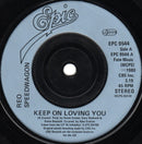 REO Speedwagon : Keep On Loving You (7", Single, Inj)