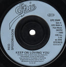 REO Speedwagon : Keep On Loving You (7", Single, Inj)