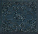 Ryan Adams & The Cardinals : Cold Roses (2xCD, Album)