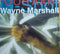 Wayne Marshall (3) : G Spot (Ooh Aah) (12")