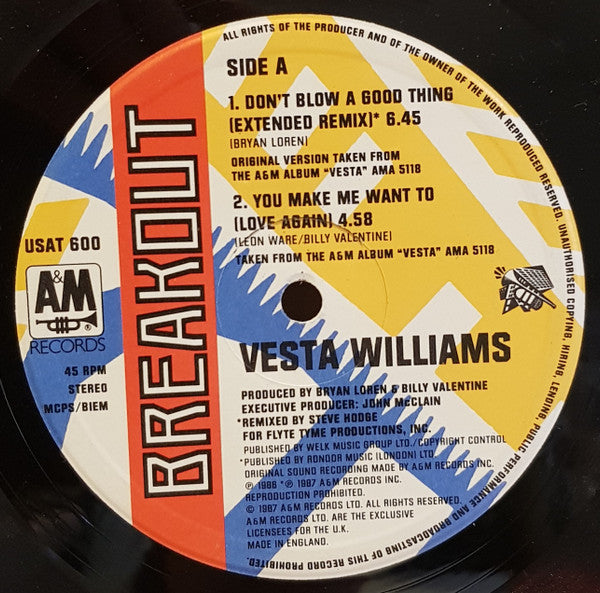 Vesta Williams : Don't Blow A Good Thing (Extended Remix) (12", Single)