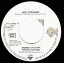 Rod Stewart : Rhythm Of My Heart (7", Single)