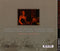 Tanya Donelly : This Hungry Life (CD, Album)