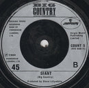 Big Country : Wonderland (7", Single, Sil)