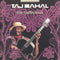 Taj Mahal : The Collection (CD, Comp)