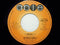 The Ritchie Family : Brazil / Hot Trip (7", Single)