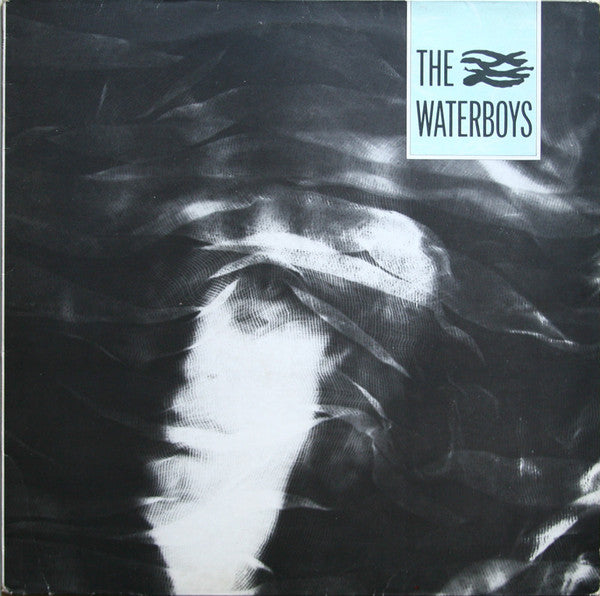 The Waterboys : The Waterboys (LP, Album, RE, RM, PRS)