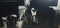 Billy Connolly : Cop Yer Whack For This (LP)