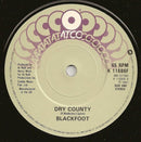 Blackfoot (3) : Dry County ● Too Hard To Handle (2x7", Single)