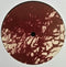 Zero 7 : Aurora / Mono (12", Ltd)