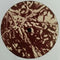 Zero 7 : Aurora / Mono (12", Ltd)