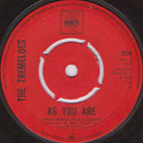 The Tremeloes : As You Are / Suddenly You Love Me  (7", Single)
