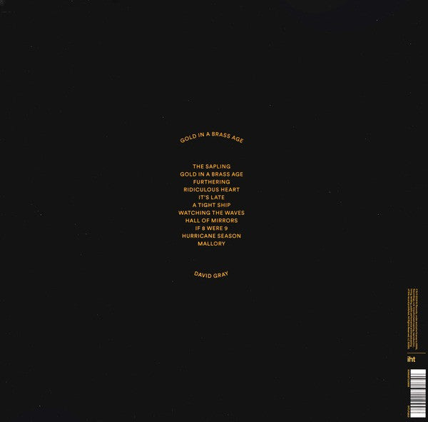 David Gray : Gold In A Brass Age (2xLP, Album)