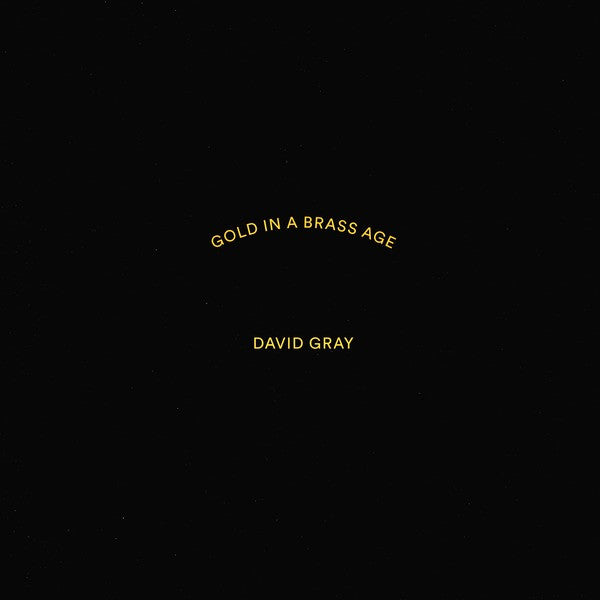 David Gray : Gold In A Brass Age (2xLP, Album)