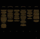 David Gray : Gold In A Brass Age (2xLP, Album)