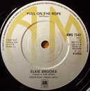 Elkie Brooks : Paint Your Pretty Picture (7", Single)