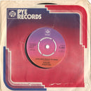 David Parton : Isn't She Lovely (7", Single, Pap)