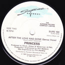 Princess : After The Love Has Gone (7", Single)
