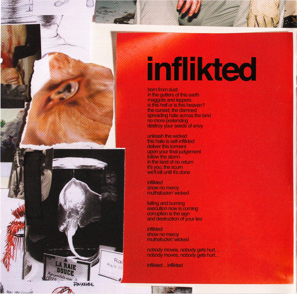 Cavalera Conspiracy : Inflikted (CD, Album)
