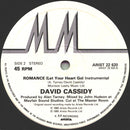 David Cassidy : Romance (Let Your Heart Go) Special Edition Love Mix (12")