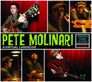 Pete Molinari : A Virtual Landslide (CD, Album, Dig)