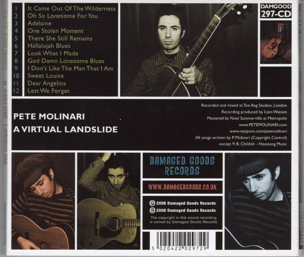 Pete Molinari : A Virtual Landslide (CD, Album, Dig)
