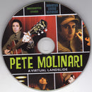 Pete Molinari : A Virtual Landslide (CD, Album, Dig)