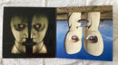 Pink Floyd : The Division Bell (2xLP, Album, Ltd, RE, RM, RP, Blu)