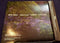 Animal Collective : Water Curses (CD, EP, Promo)