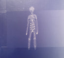 AURORA (16) : A Different Kind Of Human (Step 2) (CD, Album)