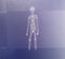 AURORA (16) : A Different Kind Of Human (Step 2) (CD, Album)
