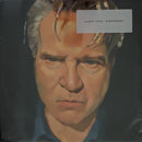 Lloyd Cole : Guesswork (LP, Album)