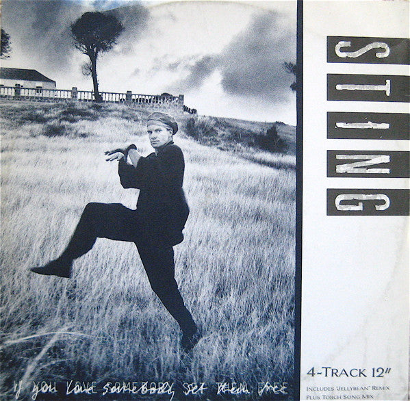 Sting : If You Love Somebody Set Them Free (12")