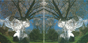 Jamiroquai : Synkronized (CD, Album)