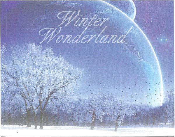 Various : Winter Wonderland (CD, Comp)