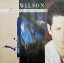 Brian Wilson : Brian Wilson (LP, Album)