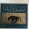 Bustan Abraham : Pictures Through The Painted Window (CD, Album)