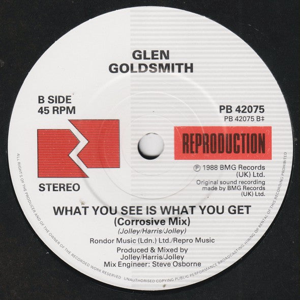 Glen Goldsmith : What You See Is What You Get (7", Single)