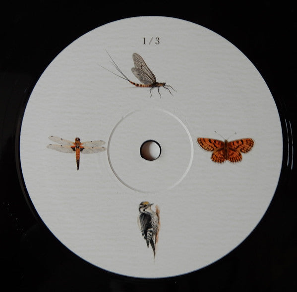 Dominik Eulberg : Mannigfaltig (3xLP, Album)