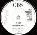 Paul Young : Wonderland (7", Single)