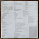 Brittany Howard : Jaime (LP, Album, 180)