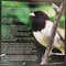 Junco Partners : Almost Down In New Orleans (CD, Album)