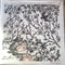 The Broken Orchestra : Pathways (LP, Album)