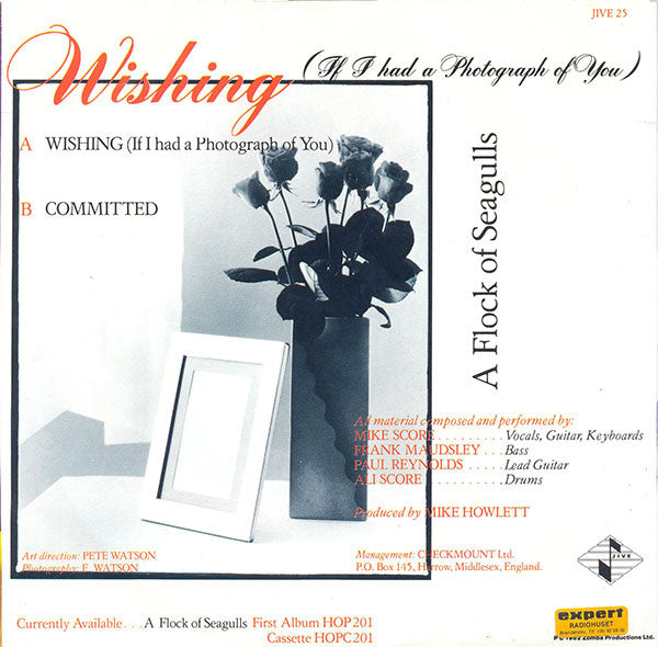 A Flock Of Seagulls : Wishing (If I Had A Photograph Of You) (7", Single)