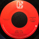Suzi Lane : Harmony (7", Single, SP)