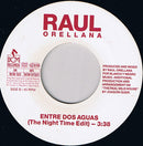 Raúl Orellana : The Real Wild House (7", Single)