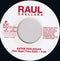 Raúl Orellana : The Real Wild House (7", Single)